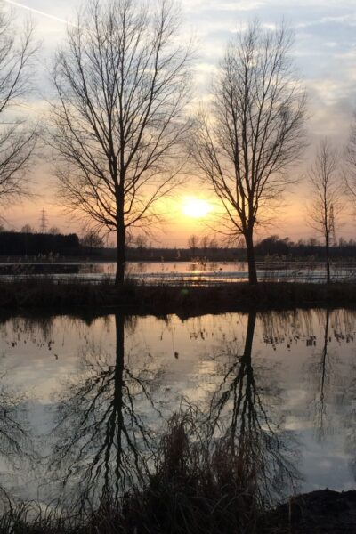 scenic flooded field scenic flooded field