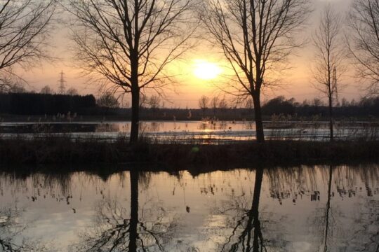 scenic flooded field